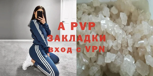 сатива Балахна